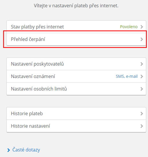 nastavení plateb přes internet